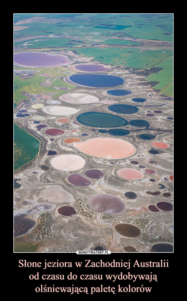 Słone jeziora w Zachodniej Australii
od czasu do czasu wydobywają olśniewającą paletę kolorów
