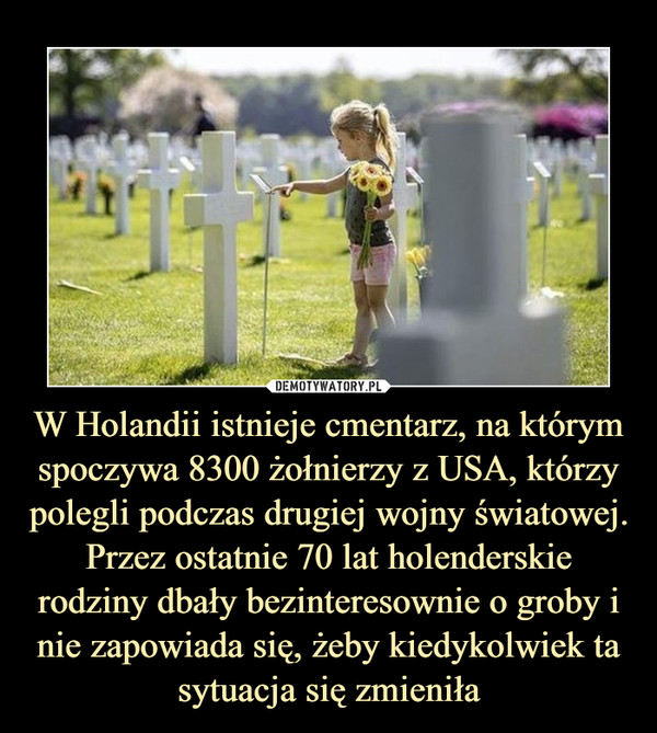 W Holandii istnieje cmentarz, na którym spoczywa 8300 żołnierzy z USA, którzy polegli podczas drugiej wojny światowej. Przez ostatnie 70 lat holenderskie rodziny dbały bezinteresownie o groby i nie zapowiada się, żeby kiedykolwiek ta sytuacja się zmieniła –  