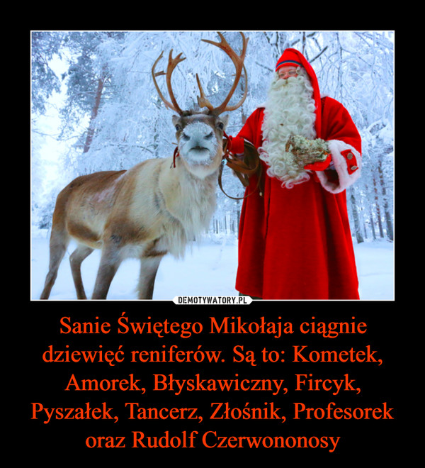 Sanie Świętego Mikołaja ciągnie dziewięć reniferów. Są to: Kometek, Amorek, Błyskawiczny, Fircyk, Pyszałek, Tancerz, Złośnik, Profesorek oraz Rudolf Czerwononosy –  