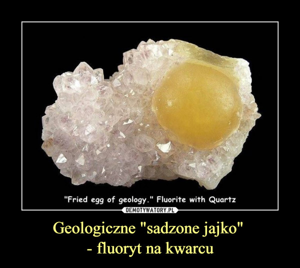 Geologiczne "sadzone jajko" 
- fluoryt na kwarcu