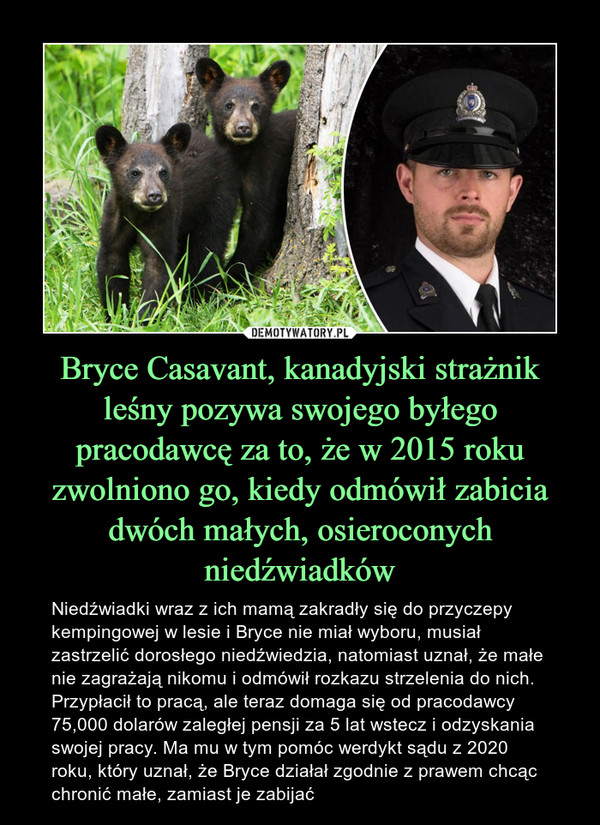 Bryce Casavant, kanadyjski strażnik leśny pozywa swojego byłego pracodawcę za to, że w 2015 roku zwolniono go, kiedy odmówił zabicia dwóch małych, osieroconych niedźwiadków – Niedźwiadki wraz z ich mamą zakradły się do przyczepy kempingowej w lesie i Bryce nie miał wyboru, musiał zastrzelić dorosłego niedźwiedzia, natomiast uznał, że małe nie zagrażają nikomu i odmówił rozkazu strzelenia do nich. Przypłacił to pracą, ale teraz domaga się od pracodawcy 75,000 dolarów zaległej pensji za 5 lat wstecz i odzyskania swojej pracy. Ma mu w tym pomóc werdykt sądu z 2020 roku, który uznał, że Bryce działał zgodnie z prawem chcąc chronić małe, zamiast je zabijać 