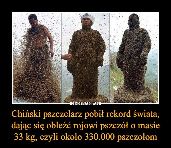Chiński pszczelarz pobił rekord świata, dając się obleźć rojowi pszczół o masie 33 kg, czyli około 330.000 pszczołom –  