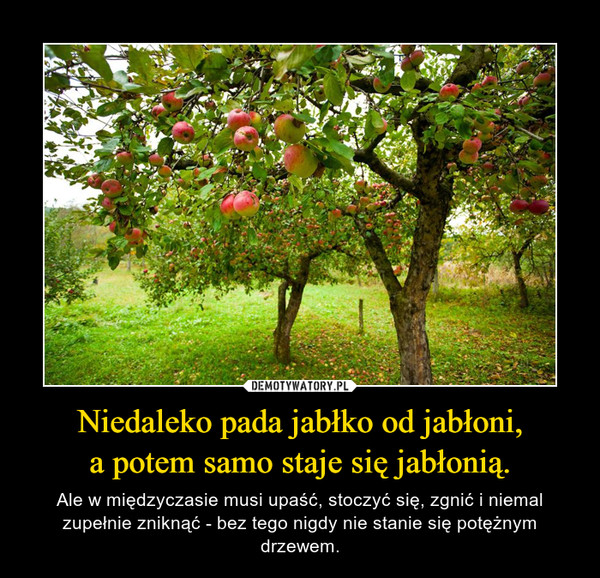 Niedaleko pada jabłko od jabłoni,a potem samo staje się jabłonią. – Ale w międzyczasie musi upaść, stoczyć się, zgnić i niemal zupełnie zniknąć - bez tego nigdy nie stanie się potężnym drzewem. 