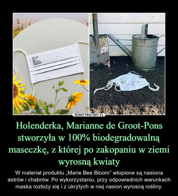 Holenderka, Marianne de Groot-Pons stworzyła w 100% biodegradowalną maseczkę, z której po zakopaniu w ziemi wyrosną kwiaty