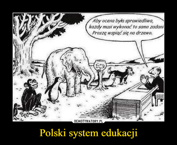Polski system edukacji