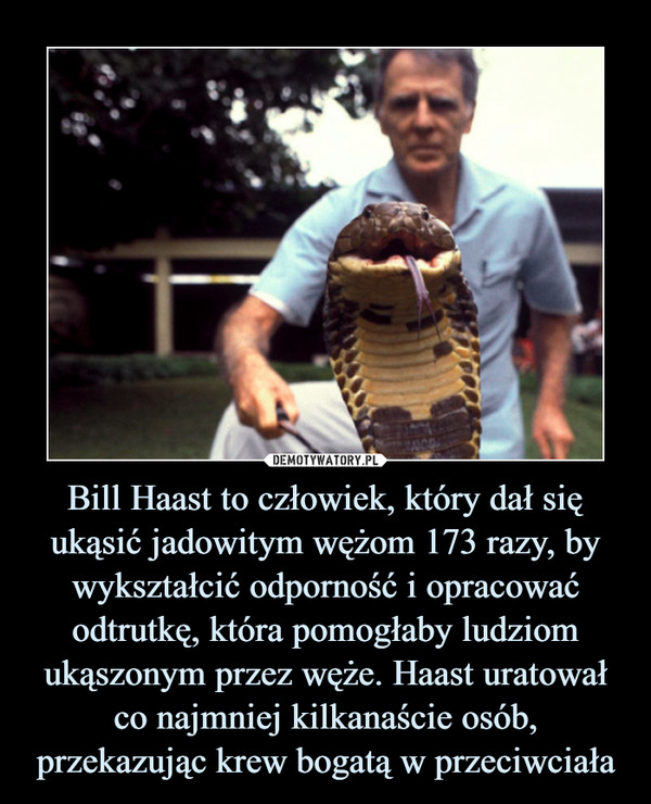 Bill Haast to człowiek, który dał się ukąsić jadowitym wężom 173 razy, by wykształcić odporność i opracować odtrutkę, która pomogłaby ludziom ukąszonym przez węże. Haast uratował co najmniej kilkanaście osób, przekazując krew bogatą w przeciwciała