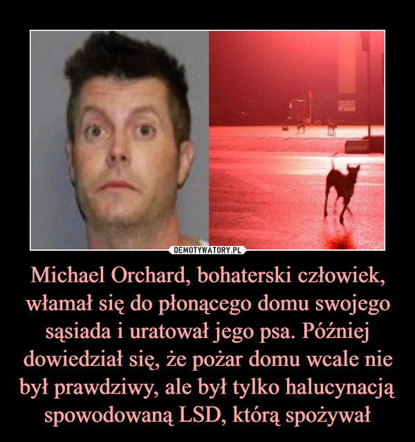 Michael Orchard, bohaterski człowiek, włamał się do płonącego domu swojego sąsiada i uratował jego psa. Później dowiedział się, że pożar domu wcale nie był prawdziwy, ale był tylko halucynacją spowodowaną LSD, którą spożywał –  