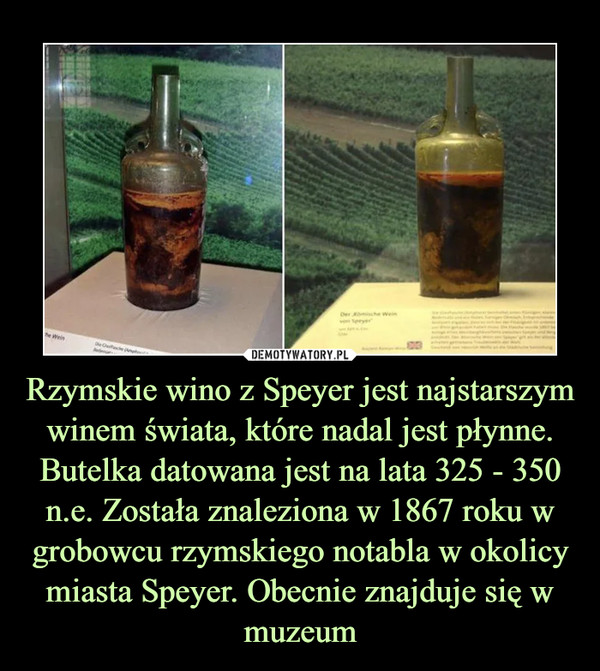 Rzymskie wino z Speyer jest najstarszym winem świata, które nadal jest płynne. Butelka datowana jest na lata 325 - 350 n.e. Została znaleziona w 1867 roku w grobowcu rzymskiego notabla w okolicy miasta Speyer. Obecnie znajduje się w muzeum –  