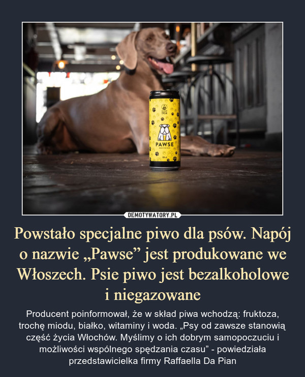 Powstało specjalne piwo dla psów. Napój o nazwie „Pawse” jest produkowane we Włoszech. Psie piwo jest bezalkoholowe i niegazowane