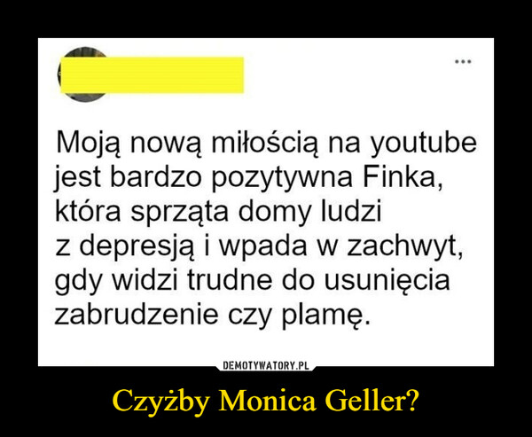 Czyżby Monica Geller? –  