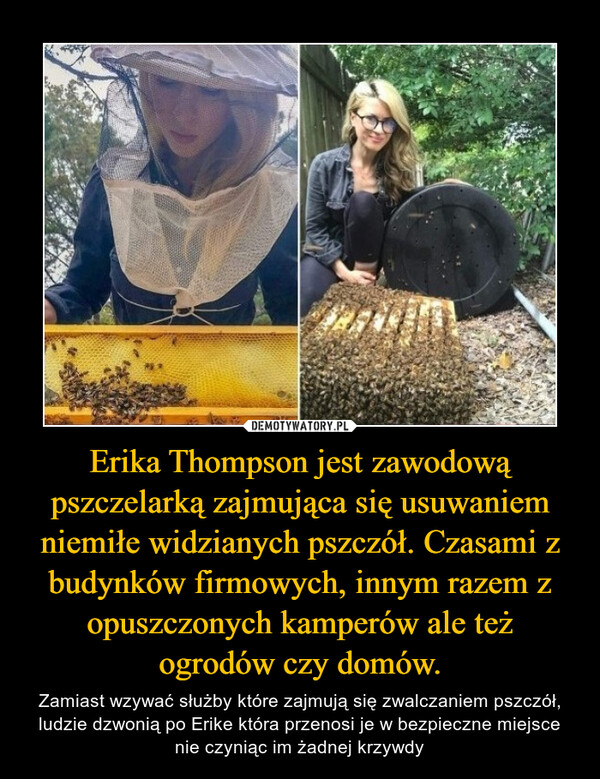 Erika Thompson jest zawodową pszczelarką zajmująca się usuwaniem niemiłe widzianych pszczół. Czasami z budynków firmowych, innym razem z opuszczonych kamperów ale też ogrodów czy domów.