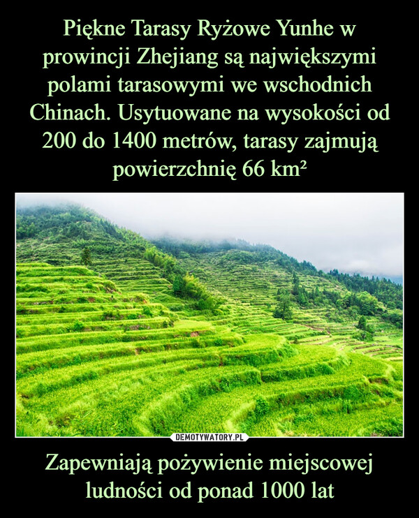 Piękne Tarasy Ryżowe Yunhe w prowincji Zhejiang są największymi polami tarasowymi we wschodnich Chinach. Usytuowane na wysokości od 200 do 1400 metrów, tarasy zajmują powierzchnię 66 km² Zapewniają pożywienie miejscowej ludności od ponad 1000 lat