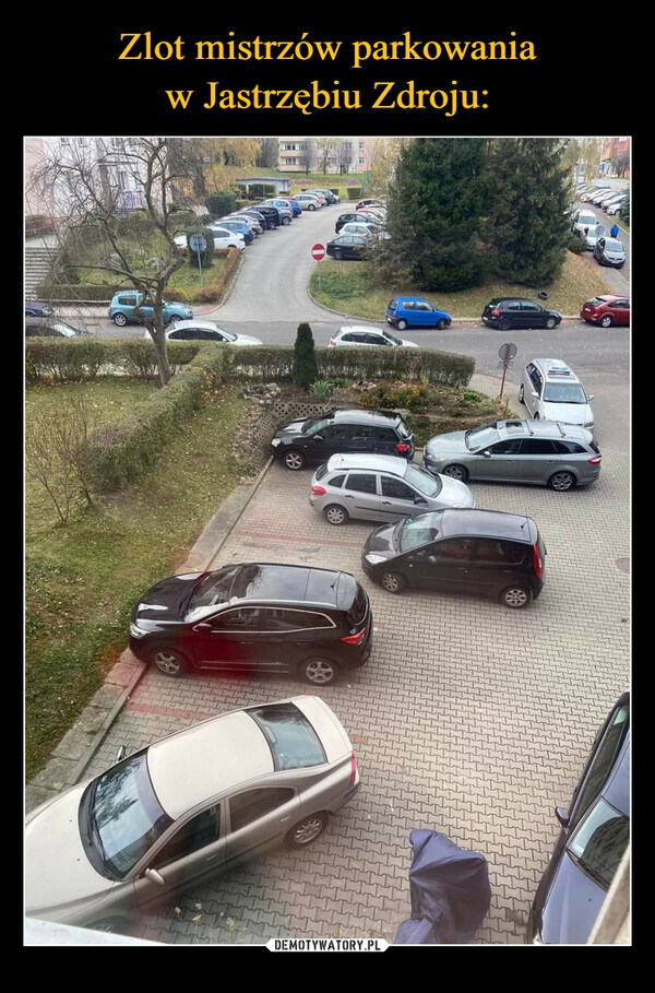 Zlot mistrzów parkowania
w Jastrzębiu Zdroju: