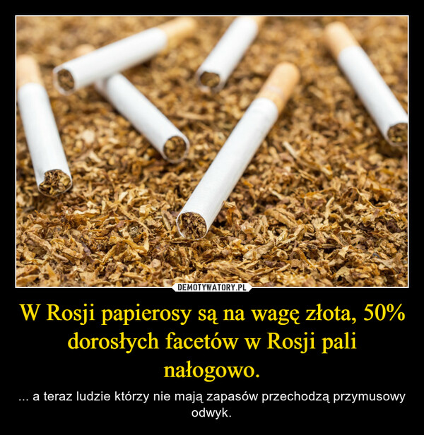 W Rosji papierosy są na wagę złota, 50% dorosłych facetów w Rosji pali nałogowo. – ... a teraz ludzie którzy nie mają zapasów przechodzą przymusowy odwyk. 