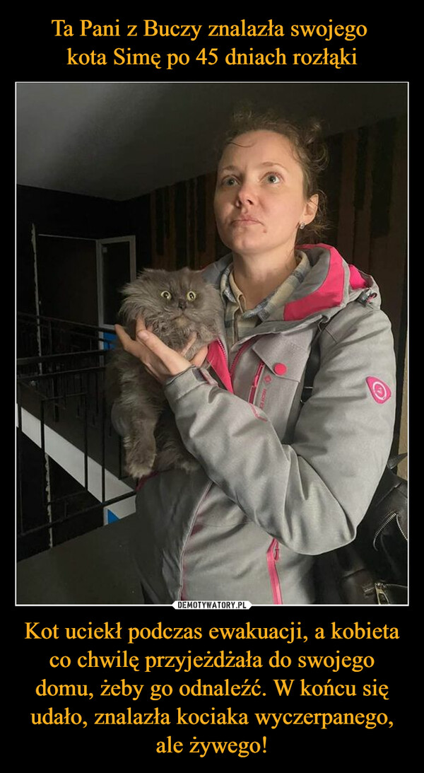 Kot uciekł podczas ewakuacji, a kobieta co chwilę przyjeżdżała do swojego domu, żeby go odnaleźć. W końcu się udało, znalazła kociaka wyczerpanego, ale żywego! –  