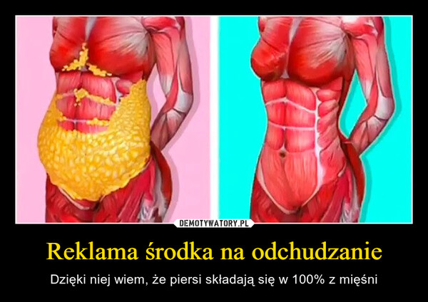 Reklama środka na odchudzanie – Dzięki niej wiem, że piersi składają się w 100% z mięśni 