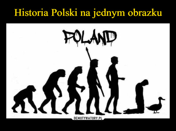 Historia Polski na jednym obrazku