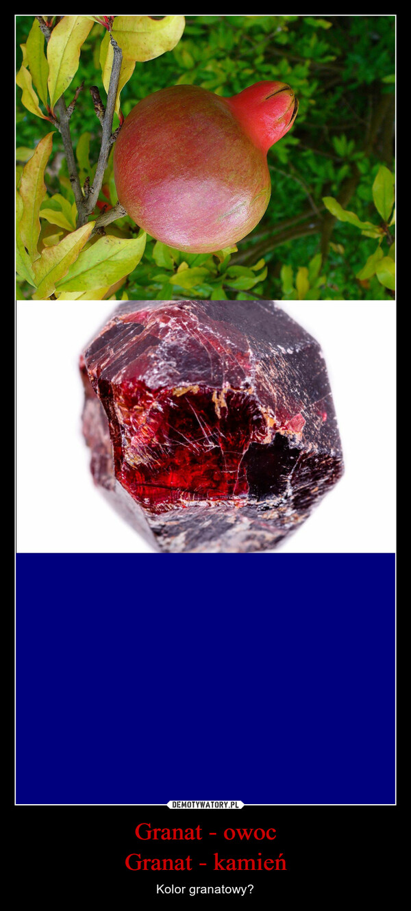 Granat - owocGranat - kamień – Kolor granatowy? 