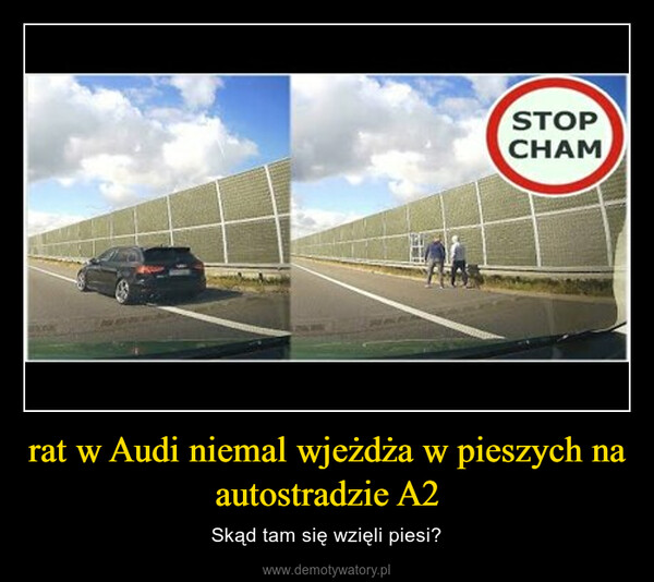 rat w Audi niemal wjeżdża w pieszych na autostradzie A2 – Skąd tam się wzięli piesi? 