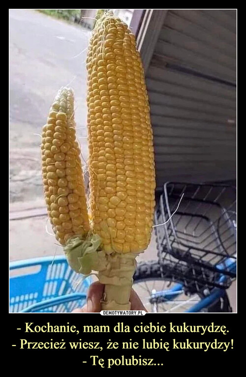 - Kochanie, mam dla ciebie kukurydzę.
- Przecież wiesz, że nie lubię kukurydzy!
- Tę polubisz...