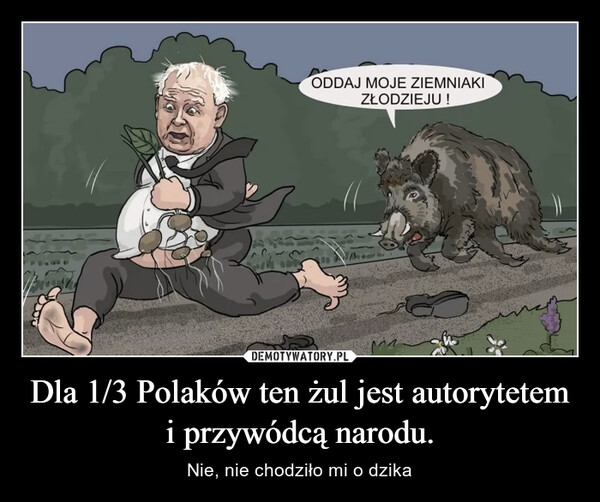 Dla 1/3 Polaków ten żul jest autorytetem i przywódcą narodu. – Nie, nie chodziło mi o dzika 