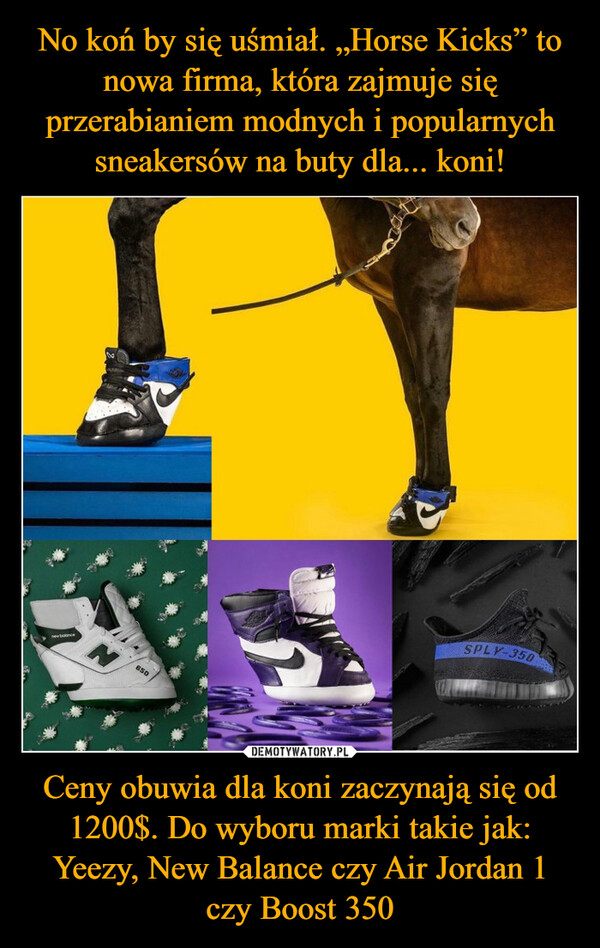No koń by się uśmiał. „Horse Kicks” to nowa firma, która zajmuje się przerabianiem modnych i popularnych sneakersów na buty dla... koni! Ceny obuwia dla koni zaczynają się od 1200$. Do wyboru marki takie jak: Yeezy, New Balance czy Air Jordan 1 czy Boost 350