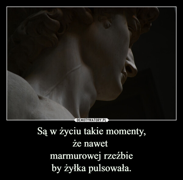 Są w życiu takie momenty,że nawet marmurowej rzeźbieby żyłka pulsowała. –  