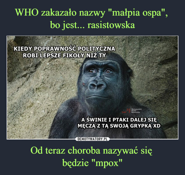 WHO zakazało nazwy "małpia ospa", 
bo jest... rasistowska Od teraz choroba nazywać się 
będzie "mpox"