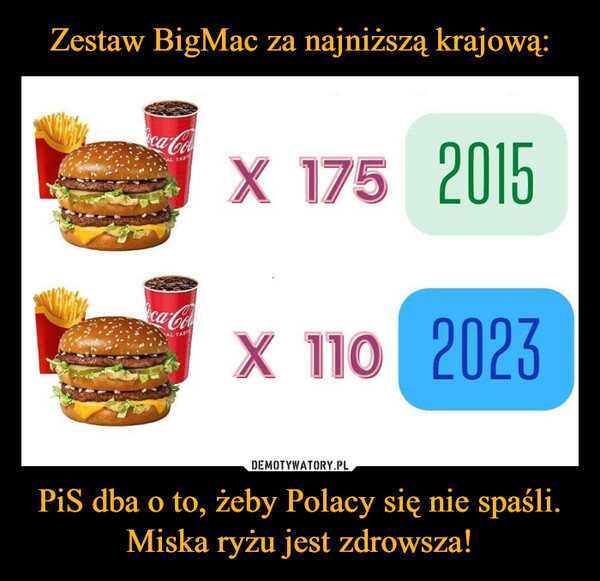 PiS dba o to, żeby Polacy się nie spaśli. Miska ryżu jest zdrowsza! –  