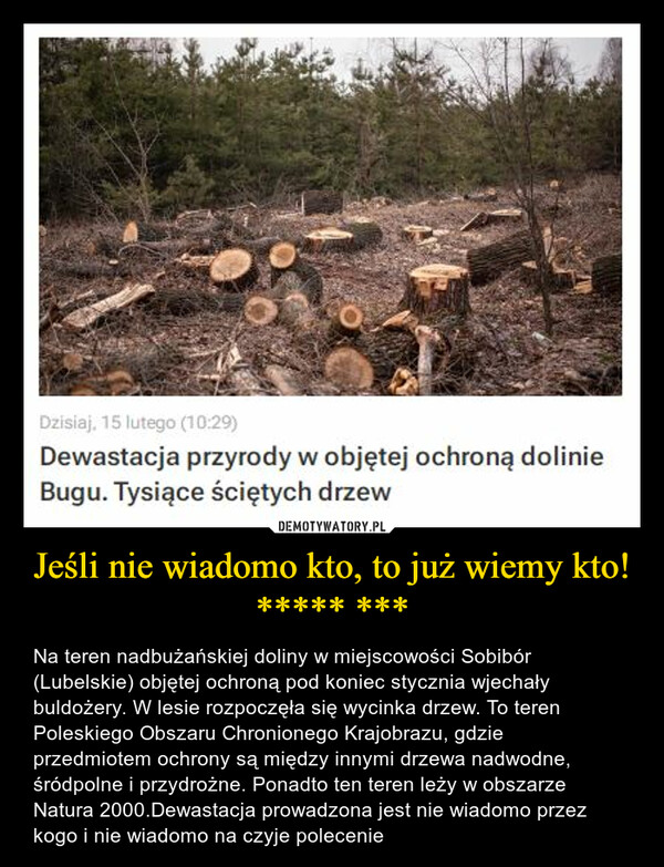 Jeśli nie wiadomo kto, to już wiemy kto! ***** *** – Na teren nadbużańskiej doliny w miejscowości Sobibór (Lubelskie) objętej ochroną pod koniec stycznia wjechały buldożery. W lesie rozpoczęła się wycinka drzew. To teren Poleskiego Obszaru Chronionego Krajobrazu, gdzie przedmiotem ochrony są między innymi drzewa nadwodne, śródpolne i przydrożne. Ponadto ten teren leży w obszarze Natura 2000.Dewastacja prowadzona jest nie wiadomo przez kogo i nie wiadomo na czyje polecenie 