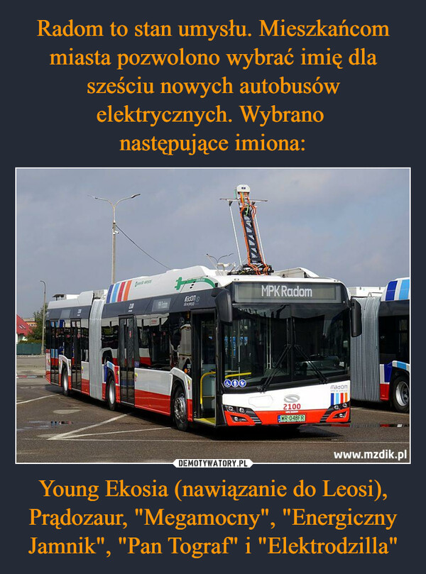 Young Ekosia (nawiązanie do Leosi), Prądozaur, "Megamocny", "Energiczny Jamnik", "Pan Tograf" i "Elektrodzilla" –  711201HfecumsBUDY600OMPK Radom2100HIPERADOWR 048FRradomna wawww.mzdik.pl