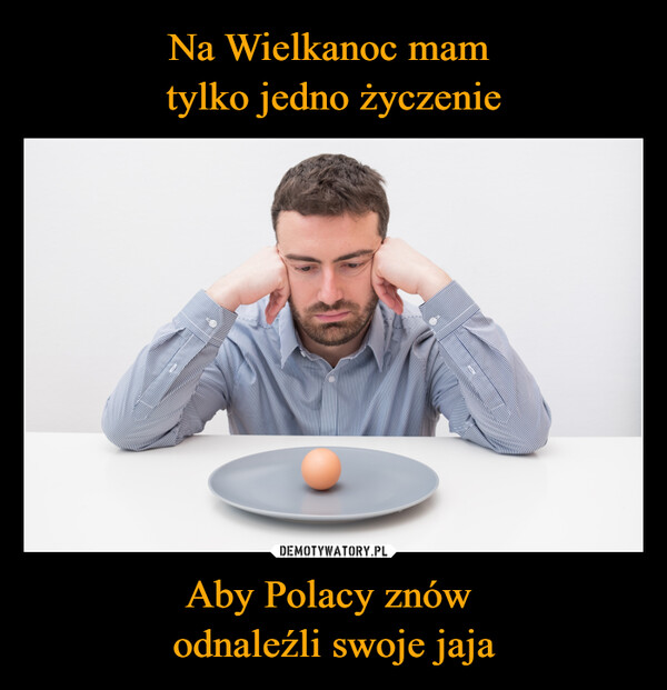 Aby Polacy znów odnaleźli swoje jaja –  PLERER