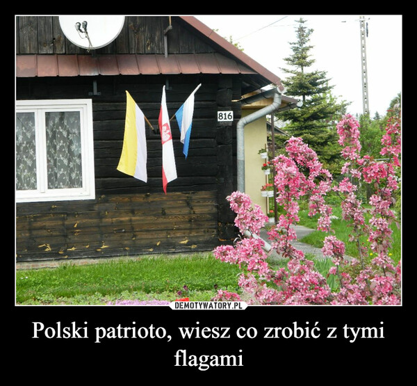 Polski patrioto, wiesz co zrobić z tymi flagami –  816