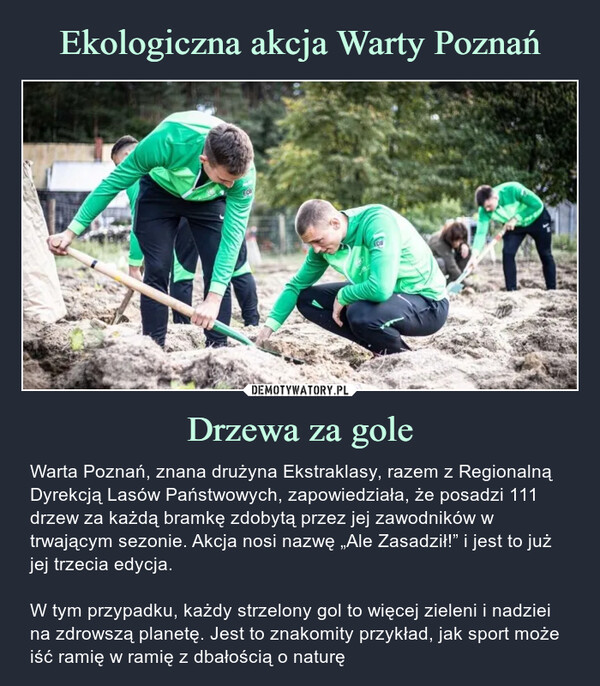 Ekologiczna akcja Warty Poznań Drzewa za gole