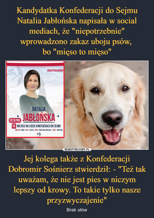 Jej kolega także z Konfederacji Dobromir Sośnierz stwierdził: - "Też tak uważam, że nie jest pies w niczym lepszy od krowy. To takie tylko nasze przyzwyczajenie" – Brak słów #DRUŻYNAKORONYNATALIAJABŁOŃSKAOSTATNIE18. MIEJSCE NA LIŚCIE KONFEDERACJI DO SEJMUGNIEZNO - KONIN - KOŁO - SŁUPCA - ŚREM ŚRODA WIELKOPOLSKA - TUREK - WRZEŚNIA