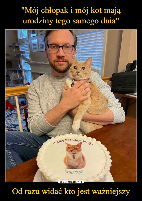"Mój chłopak i mój kot mają urodziny tego samego dnia" Od razu widać kto jest ważniejszy