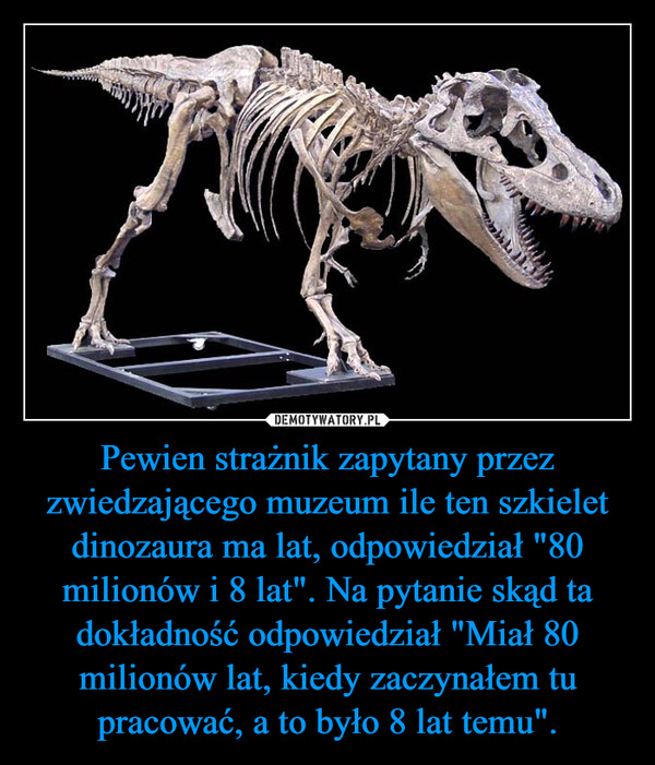 Pewien strażnik zapytany przez zwiedzającego muzeum ile ten szkielet dinozaura ma lat, odpowiedział "80 milionów i 8 lat". Na pytanie skąd ta dokładność odpowiedział "Miał 80 milionów lat, kiedy zaczynałem tu pracować, a to było 8 lat temu".