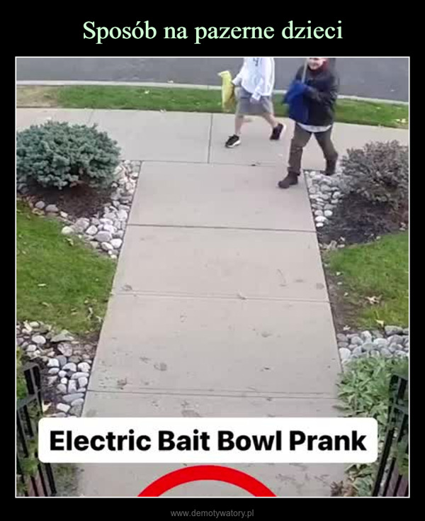  –  Electric Bait Bowl Prank