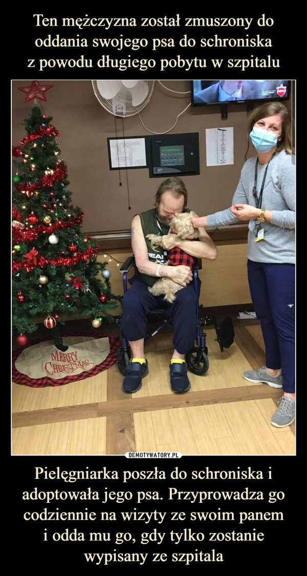 Ten mężczyzna został zmuszony do oddania swojego psa do schroniska
z powodu długiego pobytu w szpitalu Pielęgniarka poszła do schroniska i adoptowała jego psa. Przyprowadza go codziennie na wizyty ze swoim panem
i odda mu go, gdy tylko zostanie
wypisany ze szpitala
