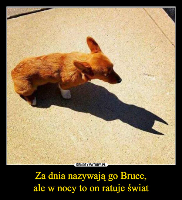 Za dnia nazywają go Bruce,
ale w nocy to on ratuje świat