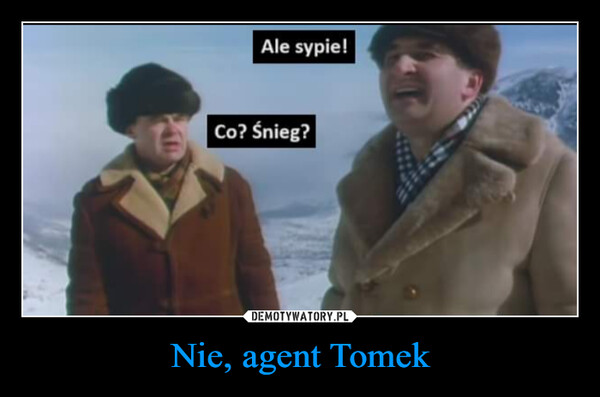 Nie, agent Tomek –  Ale sypie!Co? Śnieg?G
