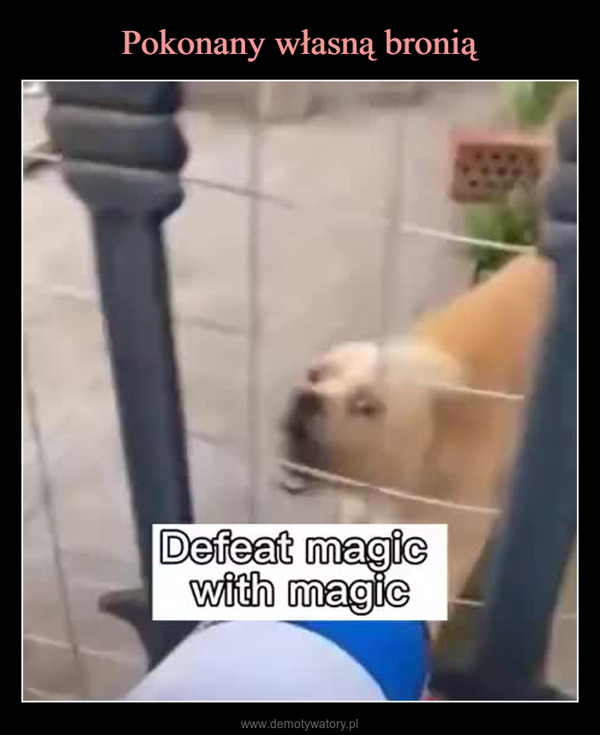  –  Defeat magicwith magic